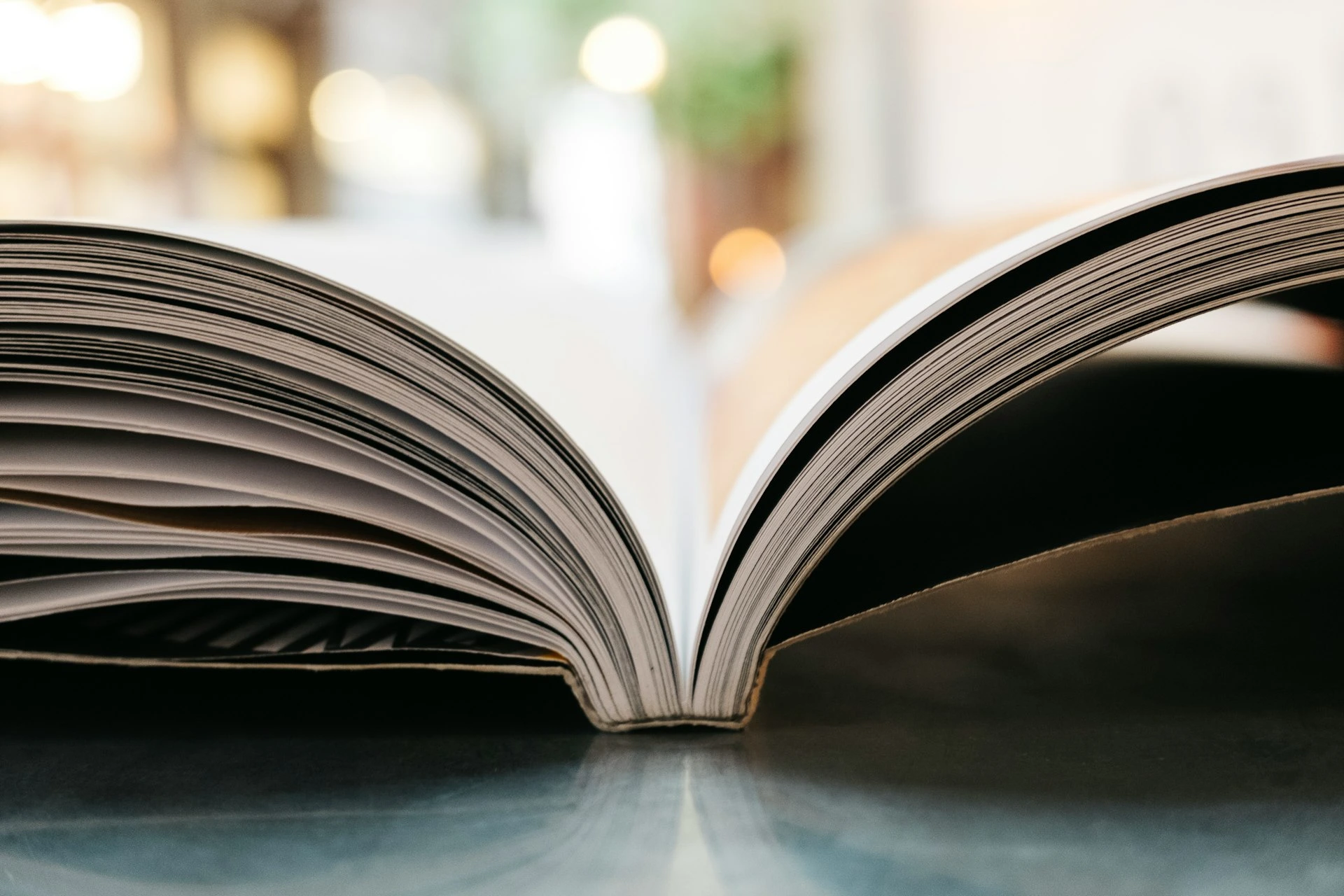 bokeh photography of open book